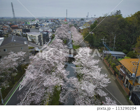 小江戸川越桜の名所　新河岸川と氷川橋　埼玉県川越市（ドローンによる空撮） 113290204