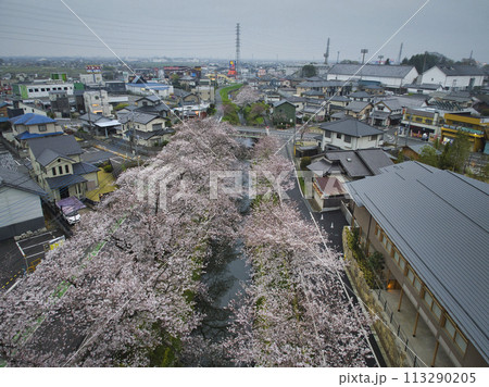 小江戸川越桜の名所 新河岸川と氷川神社 埼玉県川越市(ドローンによる空撮) 小江戸川越桜の名所 新河岸川と氷川神社 埼玉県川越市(ドローンによる空撮) 113290205