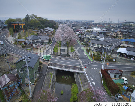 小江戸川越桜の名所　新河岸川と氷川神社　埼玉県川越市（ドローンによる空撮） 113290206
