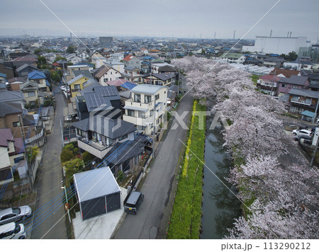 小江戸川越桜の名所 新河岸川 埼玉県川越市(ドローンによる空撮) 小江戸川越桜の名所 新河岸川 埼玉県川越市(ドローンによる空撮) 113290212
