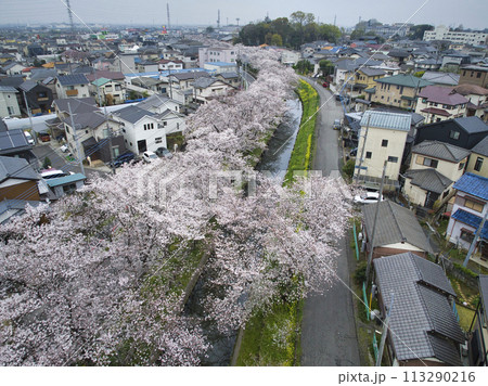 小江戸川越桜の名所 新河岸川 埼玉県川越市(ドローンによる空撮) 小江戸川越桜の名所 新河岸川 埼玉県川越市(ドローンによる空撮) 113290216