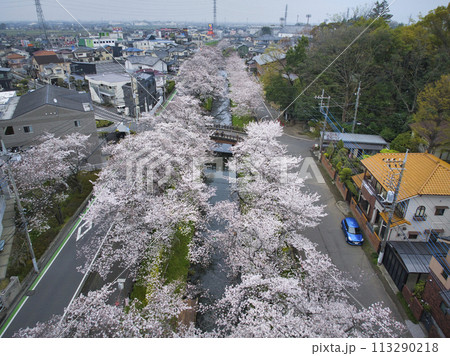 小江戸川越桜の名所　新河岸川と氷川橋　埼玉県川越市（ドローンによる空撮） 113290218