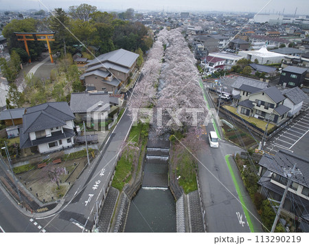 小江戸川越桜の名所　新河岸川と氷川神社　埼玉県川越市（ドローンによる空撮） 113290219