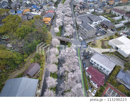 小江戸川越桜の名所　新河岸川と氷川橋　埼玉県川越市（ドローンによる空撮） 113290223