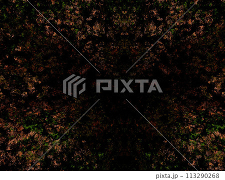 Imaginatory fractal abstract background Image 113290268