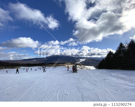【スキー･スノーボード】開放感のある晴天のゲレンデ(長野県･車山高原SKYPARKスキー場)(広角) 113290274