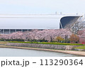 桜のピースウィング広島 113290364