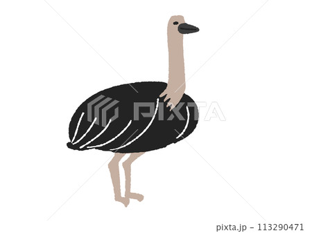 ダチョウのイラスト 113290471