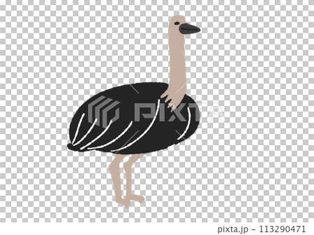ダチョウのイラスト 113290471