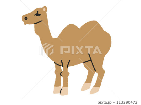 ラクダのイラスト 113290472