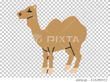 ラクダのイラスト 113290472