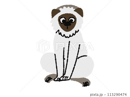 白い猿のイラスト 113290474