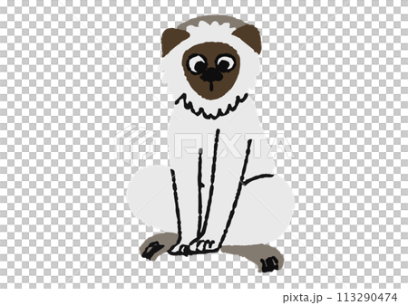 白い猿のイラスト 113290474