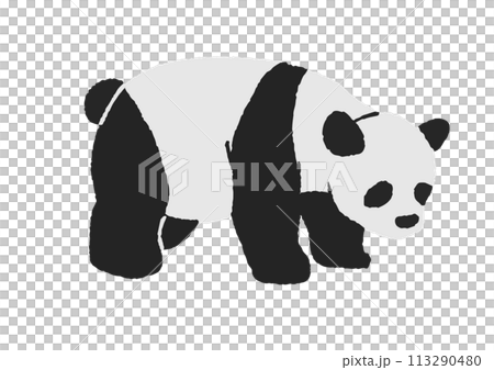 Panda illustration Panda illustration 113290480