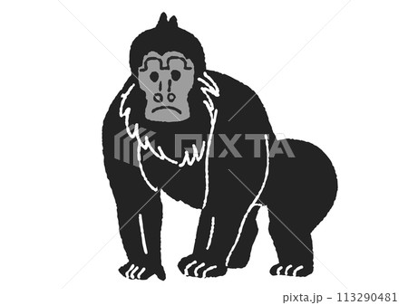 ゴリラのイラスト 113290481