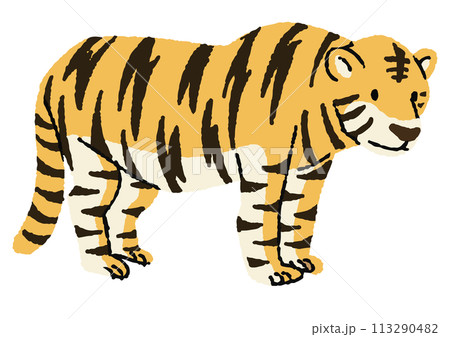 虎のイラスト 113290482