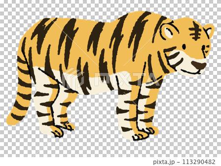 虎のイラスト 113290482