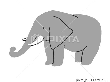 ゾウのイラスト ゾウのイラスト 113290490