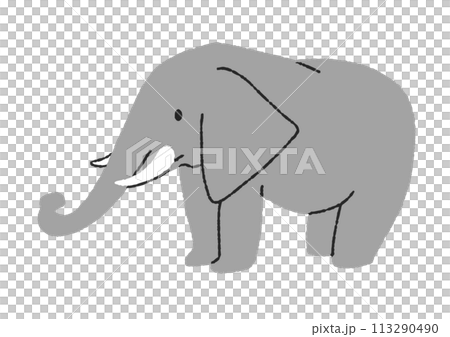 ゾウのイラスト ゾウのイラスト 113290490