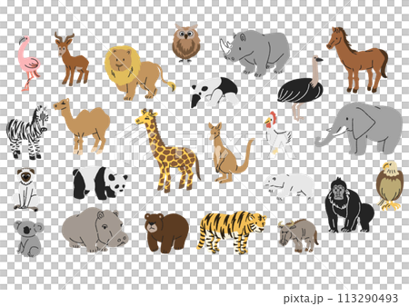 Various animal illustration set 113290493