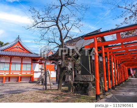 兵庫県 加古川 粟津天満神社 桜 113290561