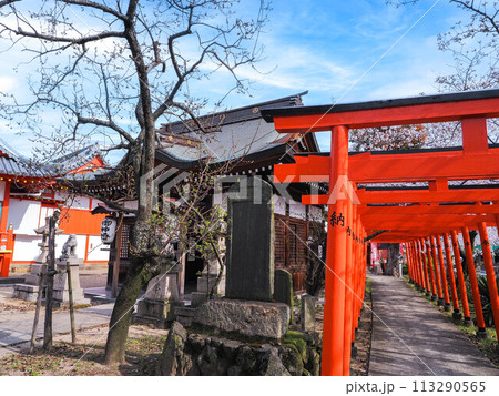 兵庫県 加古川 粟津天満神社 桜 113290565
