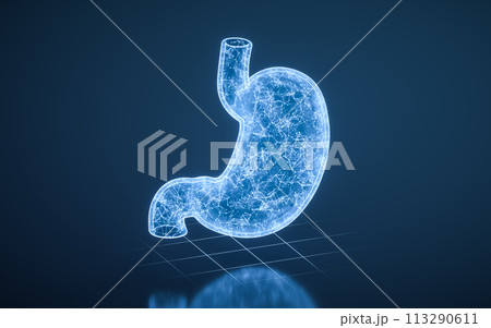 Stomach with blue technology structure, 3d rendering. 113290611