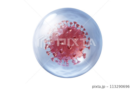 Corona virus with biology concept, 3d rendering. Corona virus with biology concept, 3d rendering. 113290696
