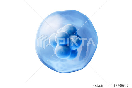 Blue isolated cell with biology concept, 3d rendering. Blue isolated cell with biology concept, 3d rendering. 113290697