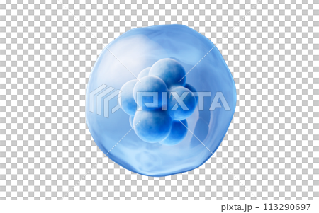 Blue isolated cell with biology concept, 3d rendering. Blue isolated cell with biology concept, 3d rendering. 113290697