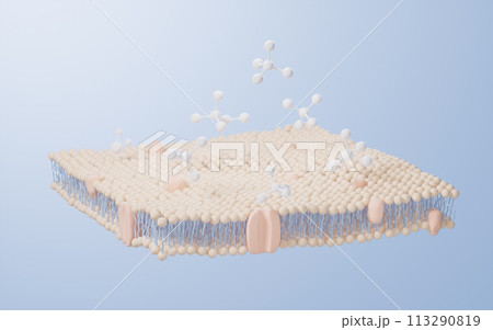Cell membrane structure background, 3d rendering. Cell membrane structure background, 3d rendering. 113290819
