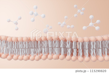 Cell membrane structure background, 3d rendering. Cell membrane structure background, 3d rendering. 113290820