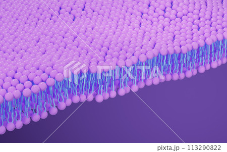Cell membrane structure background, 3d rendering. 113290822