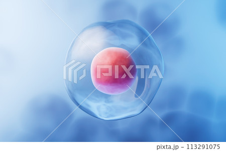 Transparent cell with biotechnology and cosmetic concept, 3d rendering. 113291075