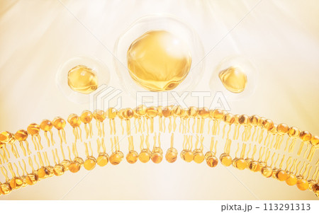 Transparent membrane and golden oil, 3d rendering. Transparent membrane and golden oil, 3d rendering. 113291313