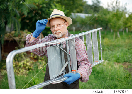 Farmer wearing blue gloves while standing in orchard in late summer time. Senior farmer holding a ladder. Man wearing red plaid t-shirt and eyeglasses. 113292074