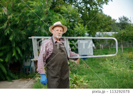 Farmer wearing blue gloves while standing in orchard in late summer time. Senior farmer holding a ladder. Man wearing red plaid t-shirt and eyeglasses. Farmer wearing blue gloves while standing in orchard in late summer time. Senior farmer holding a ladder. Man wearing red plaid t-shirt and eyeglasses. 113292078