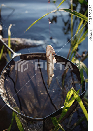 Cropped photo of a fish and a fishing basket. Fish on a fishing rod. Leisure activity and fishing concept. 113292220