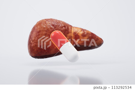 Liver organ with fatty liver state, 3d rendering. Liver organ with fatty liver state, 3d rendering. 113292534