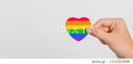 LGBT pride month concept or LGBTQ+ or LGBTQIA+ with rainbow heart shape for Lesbian, Gay, Bisexual, Transgender, Queer, Intersex, Asexual, Agender, Non Binary, Two Spirit, Pansexual and Demisexual 113292806
