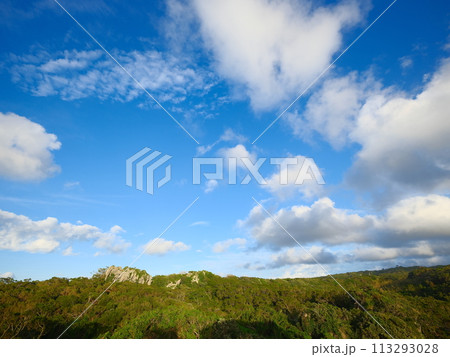 雲 クラウド くも 113293028