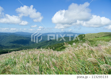 景色 風景 鶏冠 113293133