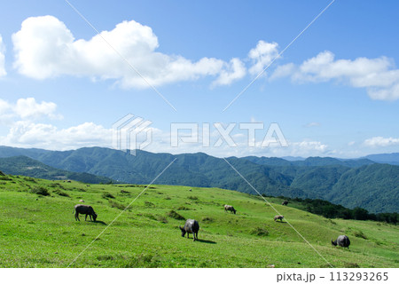 景色 風景 鶏冠 113293265