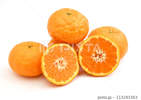 柑橘（ゆめほっぺ　品種名:せとみ） 113293363