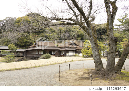 神奈川県横浜市景勝地三渓園の春 113293647