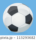 soccer ball flat design isolated 113293682