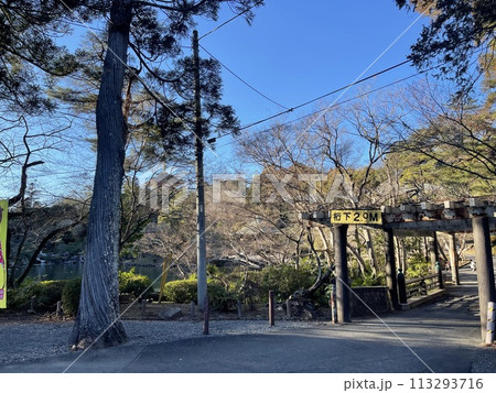 鳥居のある風景 鳥居のある風景 113293716