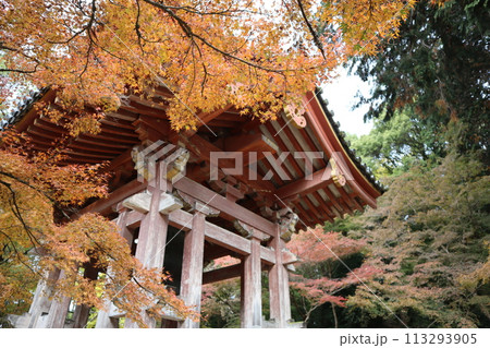 京都 醍醐寺境内の鐘と紅葉 京都 醍醐寺境内の鐘と紅葉 113293905