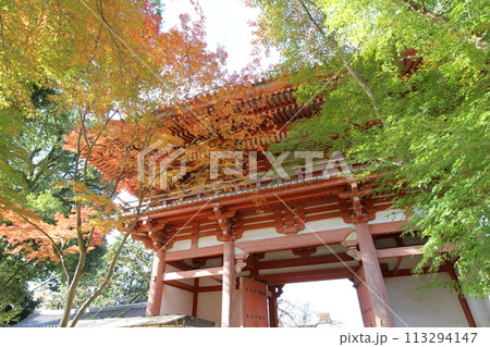 京都　醍醐寺　仁王門と紅葉 113294147