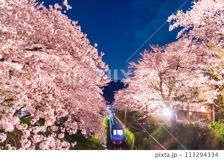 小田急ロマンスカーと山北の夜桜 113294334